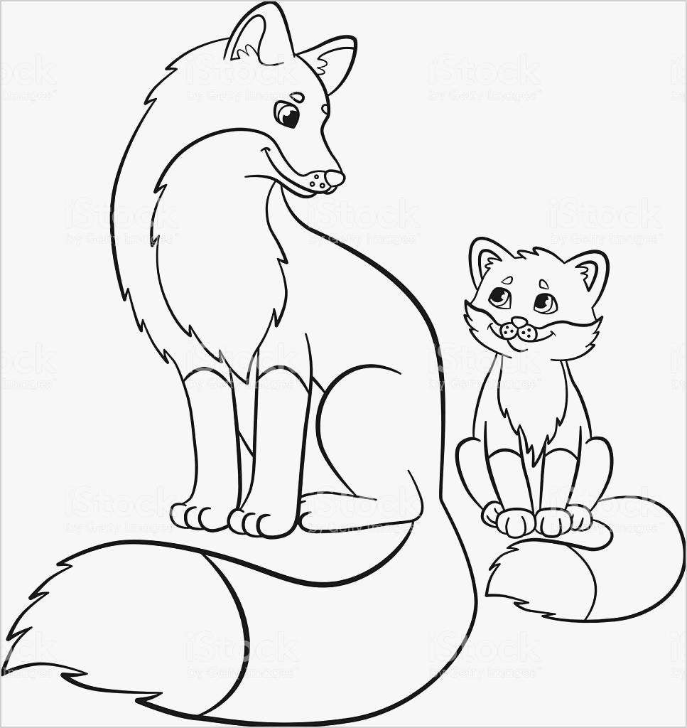 Download Mother And Baby Fox Coloring Page Free Printable Coloring Pages For Kids
