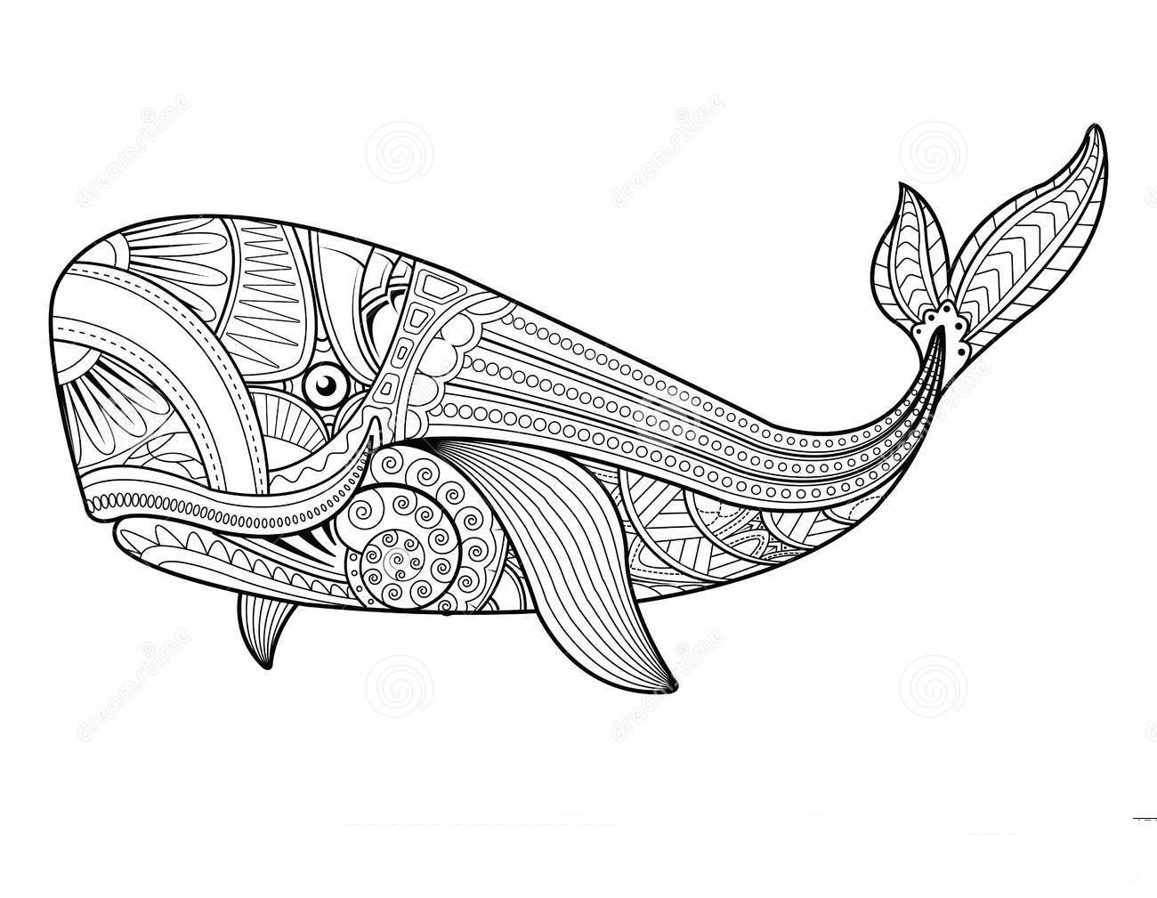 Mandala Whale Coloring Page   Free Printable Coloring Pages for Kids