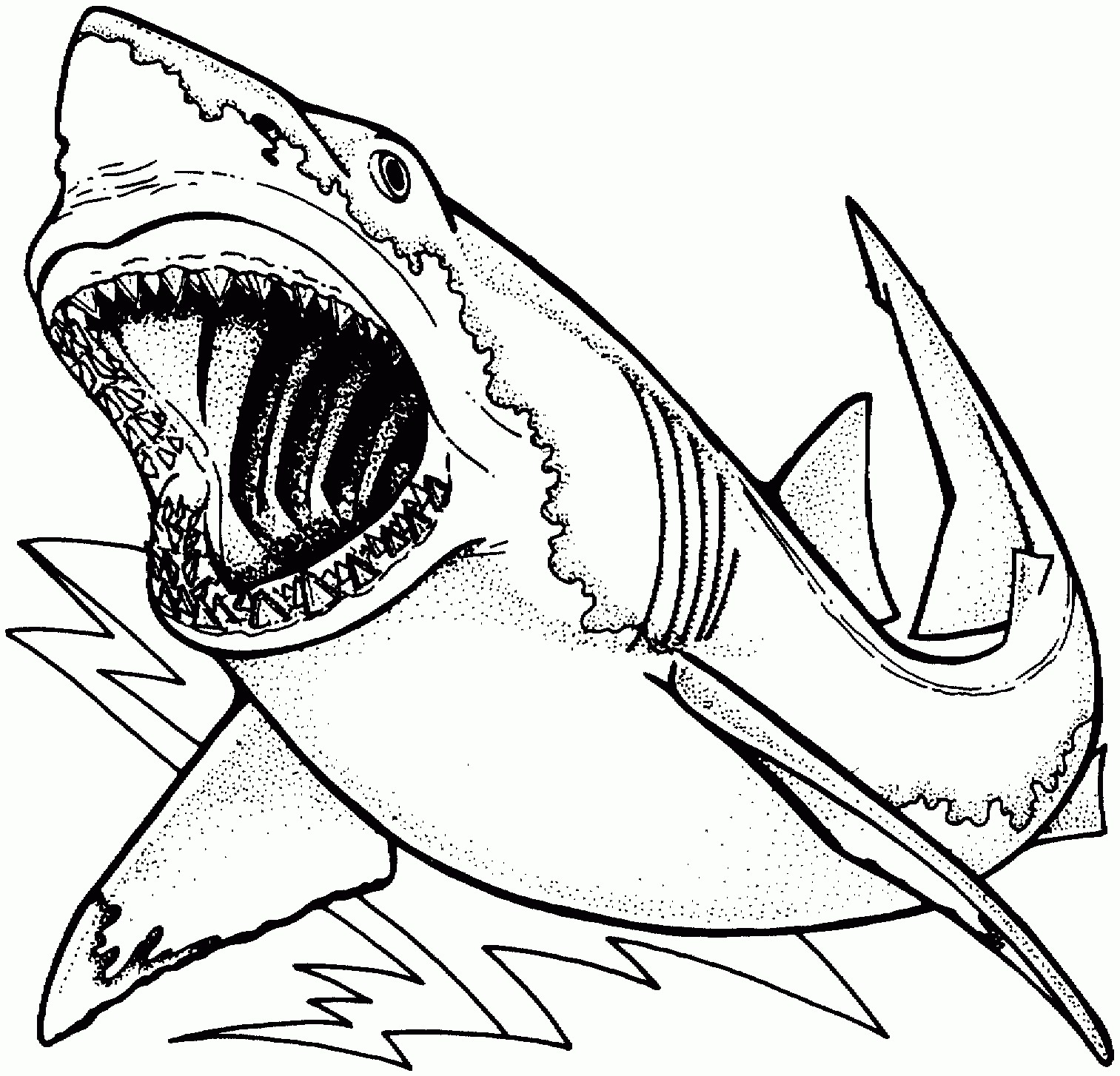 real great white shark coloring page