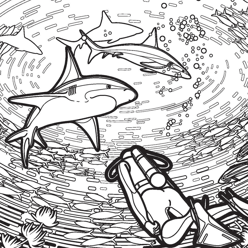 Coloring Pages Pictures Of Sharks To Draw / A Simple Drawing Of Great ...
