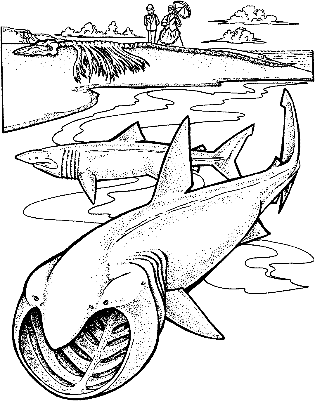 Coloring Pages Sharks Printable