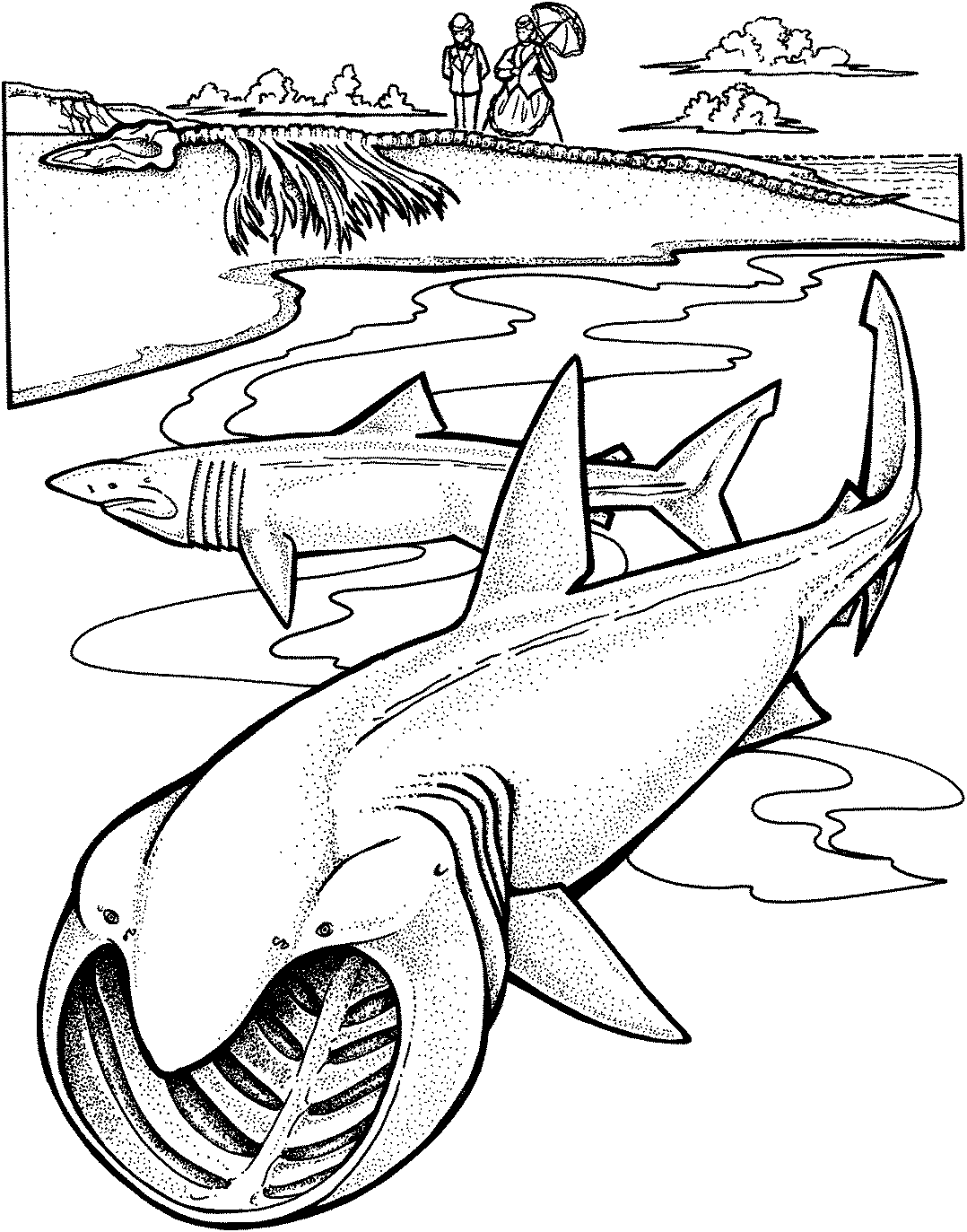 Shark Coloring Pages Printable - Printable Templates