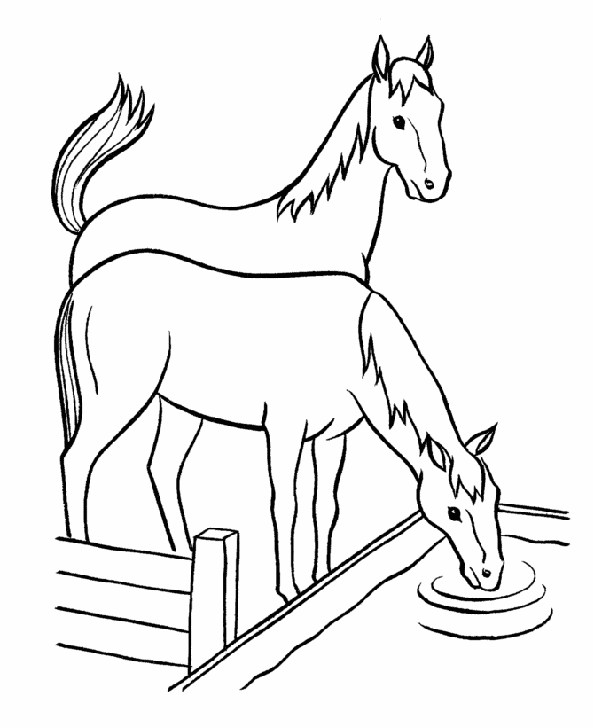 Horse Drinking Water Coloring Page - Free Printable Coloring Pages for Kids