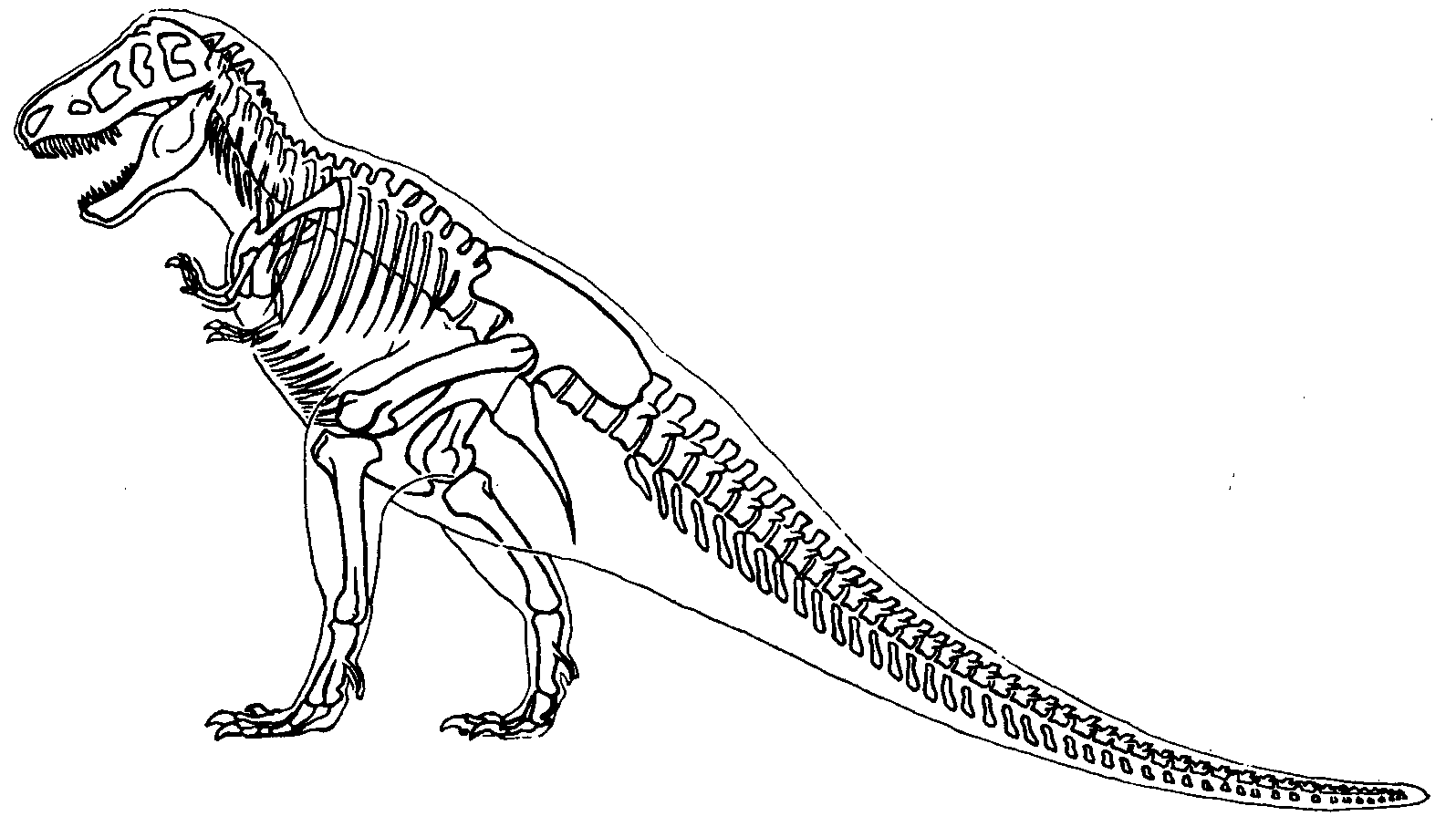 Skeleton T-Rex Coloring Page - Free Printable Coloring Pages for Kids