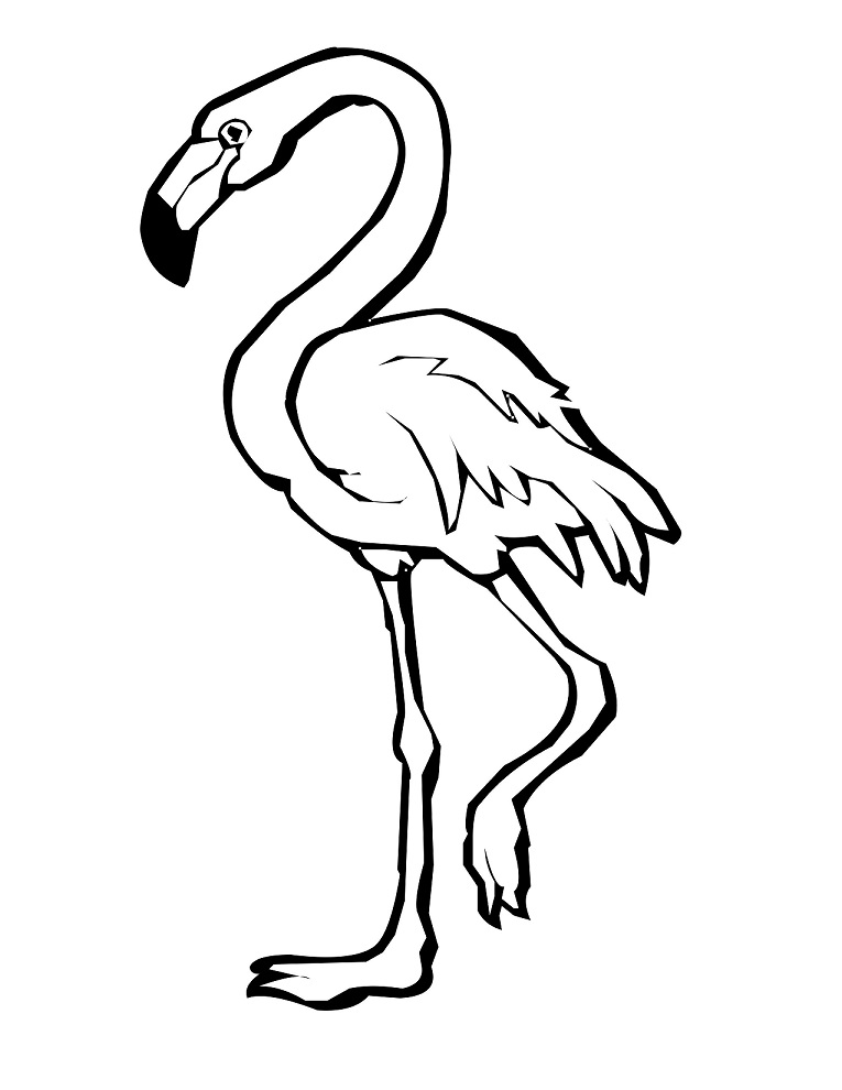 Normal Flamingo Coloring Page Free Printable Coloring Pages For Kids