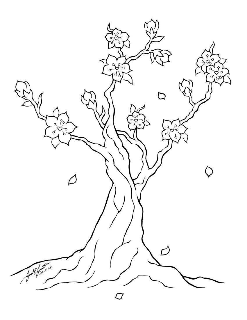 a cherry blossom tree coloring page free printable coloring pages for kids