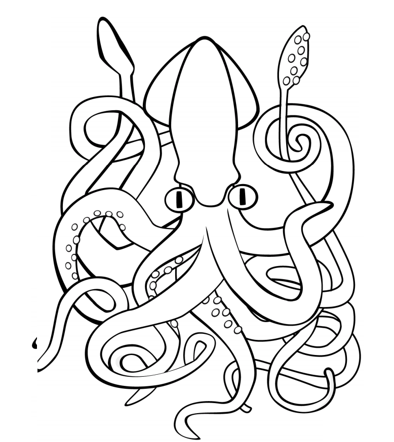 Squid Coloring Pages - Free Printable Coloring Pages for Kids