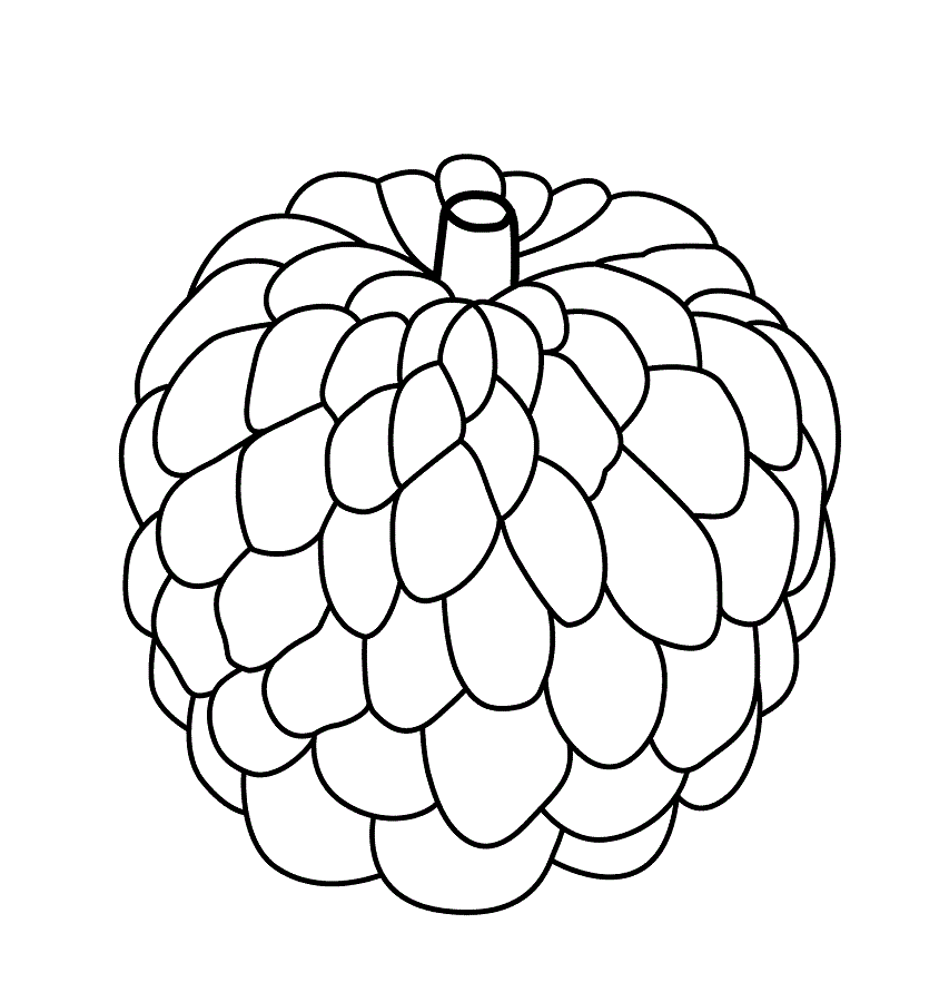 A Custard Apple