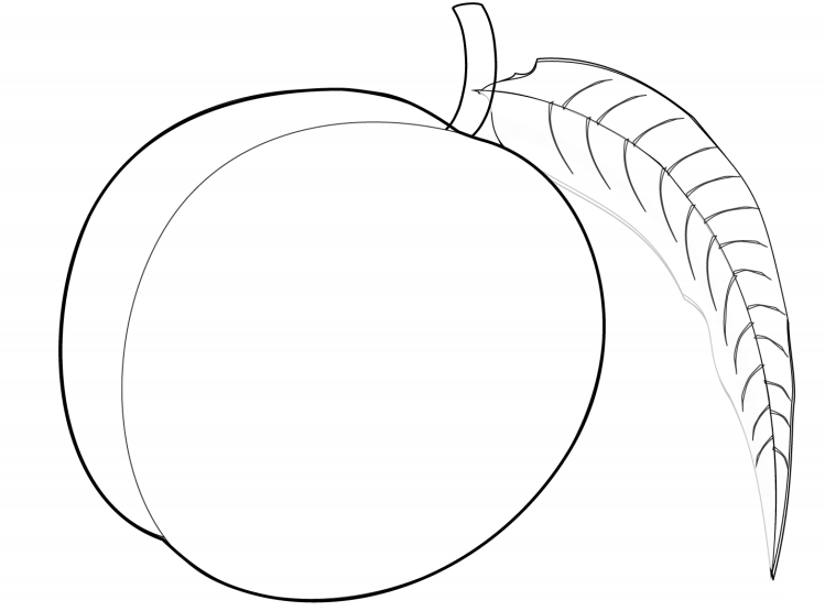 A Peach Coloring Page Free Printable Coloring Pages for Kids