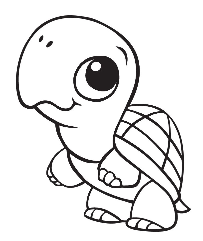 cute baby turtle coloring page  free printable coloring