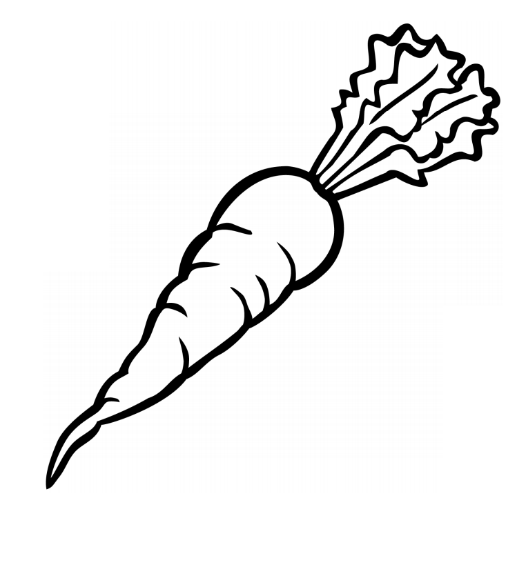 Printable Carrots