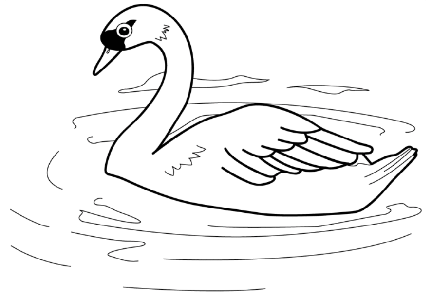 coloring pages of a swan