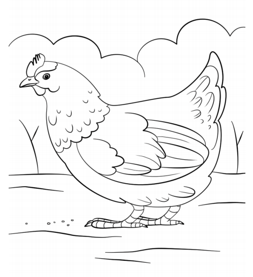 A Hen Coloring Page Free Printable Coloring Pages For Kids