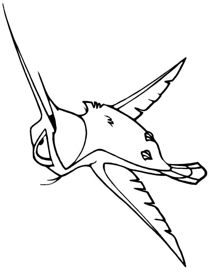 Download Flit In Pocahontas Coloring Page - Free Printable Coloring ...