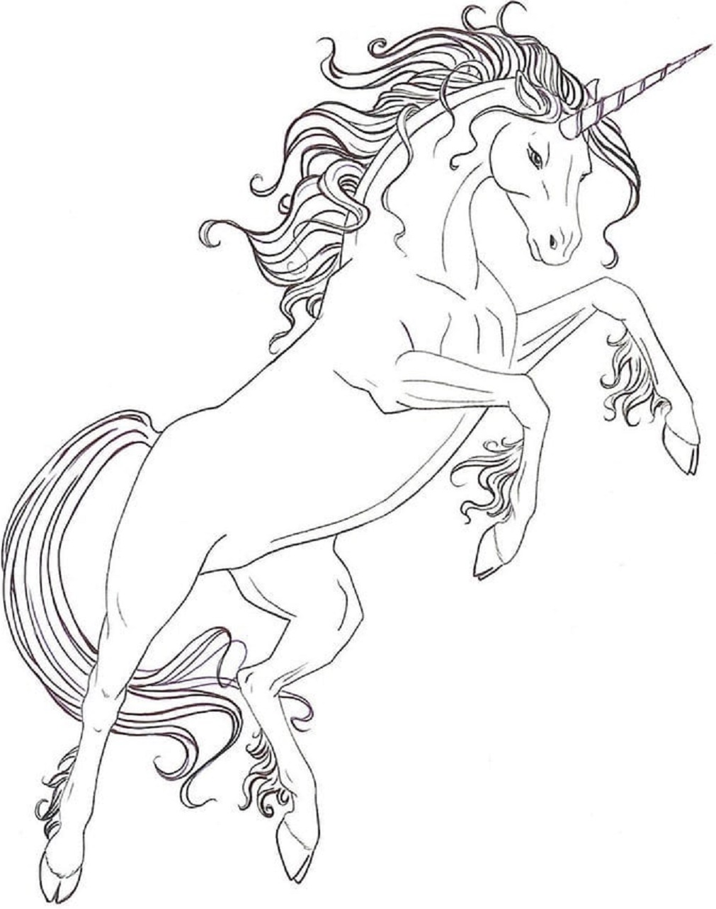 Unicorn Jumping Coloring Page   Free Printable Coloring Pages for Kids