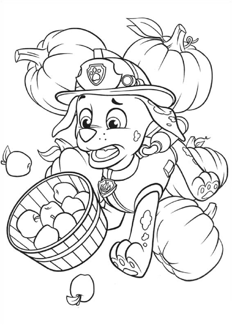 Rocky With Pumpkins And Apples Coloring Page - Free Printable Coloring