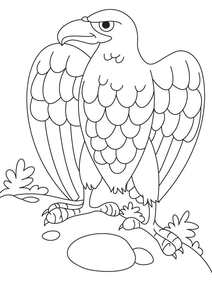 silver eagle coloring pages