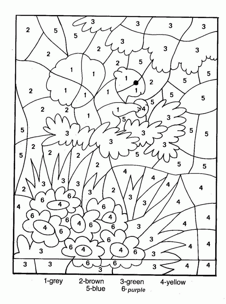 Squirrel For Coloring By Numbers