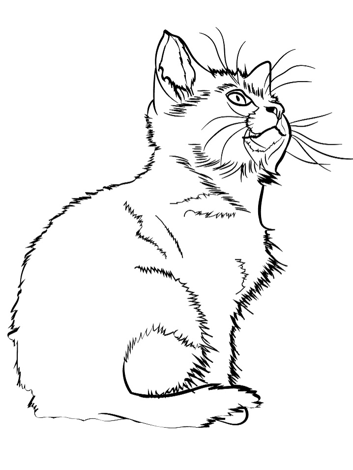Meowing Kitten Coloring Page - Free Printable Coloring Pages for Kids