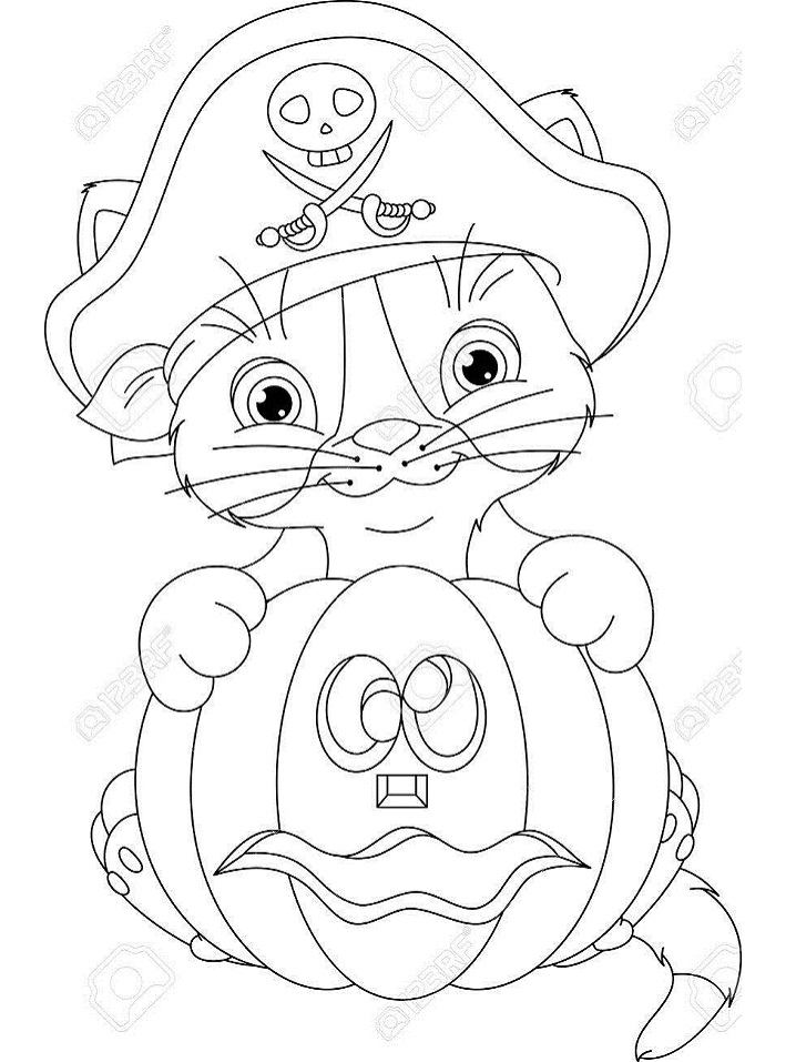 Pirate Kitten with Pumpkin Coloring Page - Free Printable Coloring