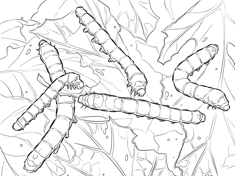 Silkworm Moth Caterpillars Coloring Page - Free Printable Coloring