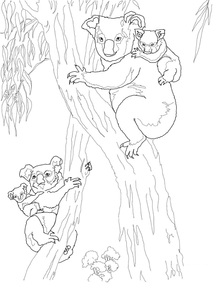 Koala Moms With Babies Coloring Page Free Printable Coloring Pages For Kids