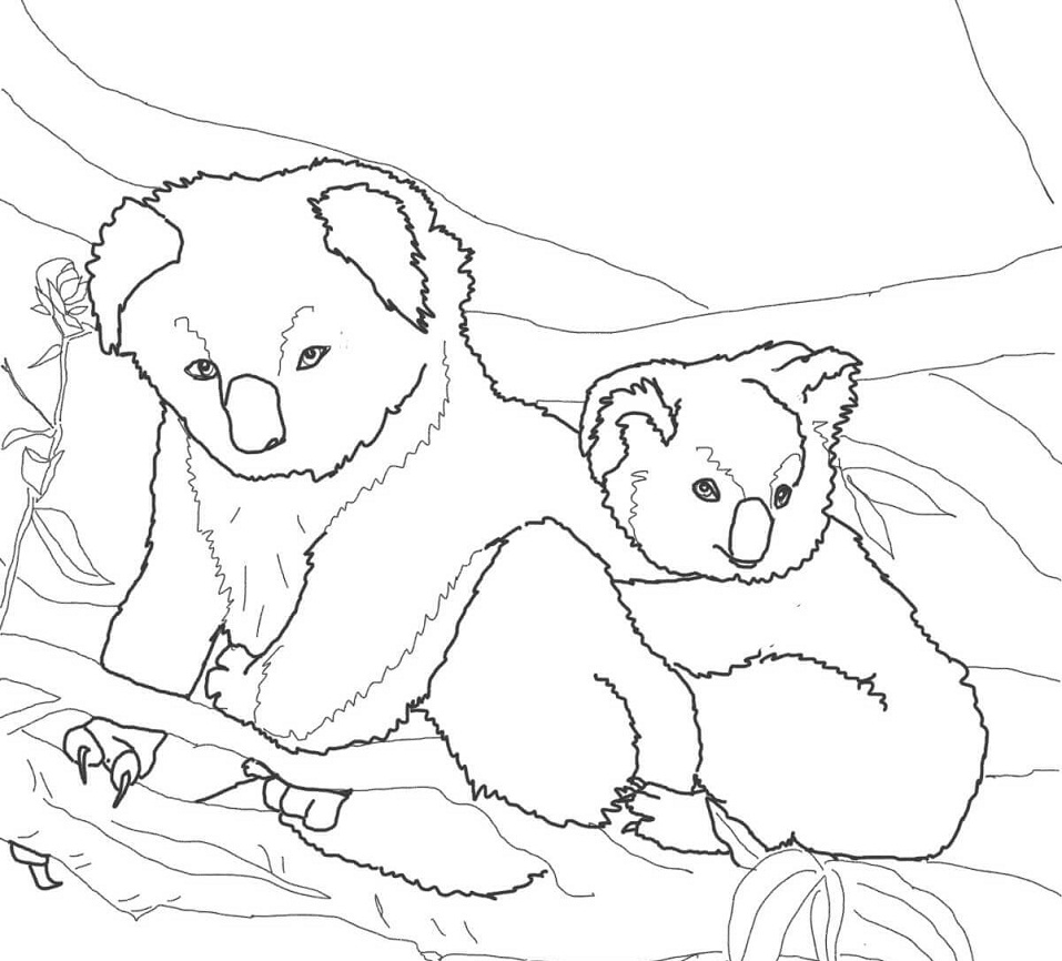 Mother and Baby Koala Coloring Page   Free Printable Coloring ...