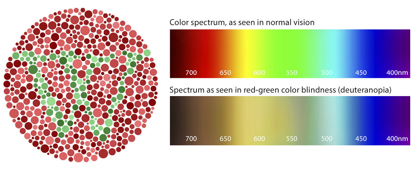 O que é daltonismo vermelho-verde?