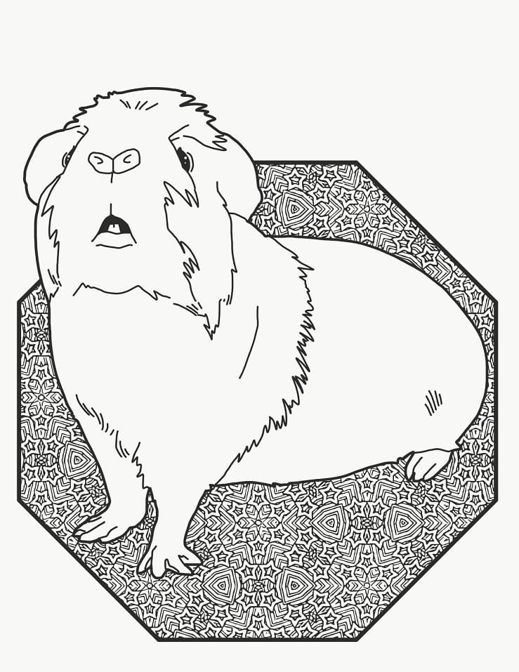 A Curious Guinea Pig Coloring Page - Free Printable Coloring Pages for Kids