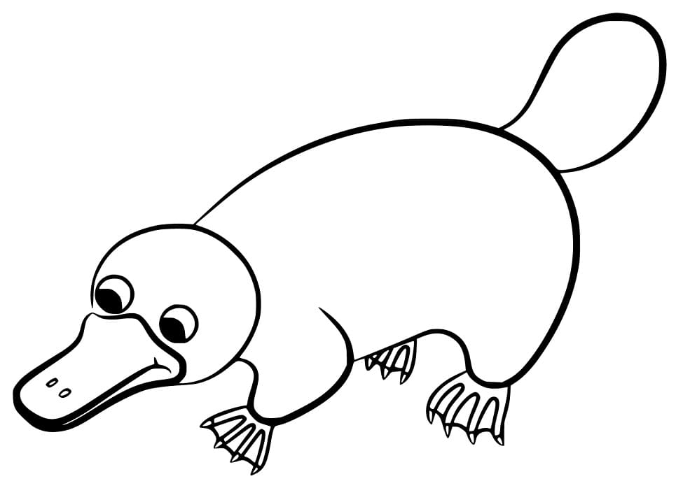 aboriginal-art-platypus-coloring-page-free-printable-coloring-pages-for-kids