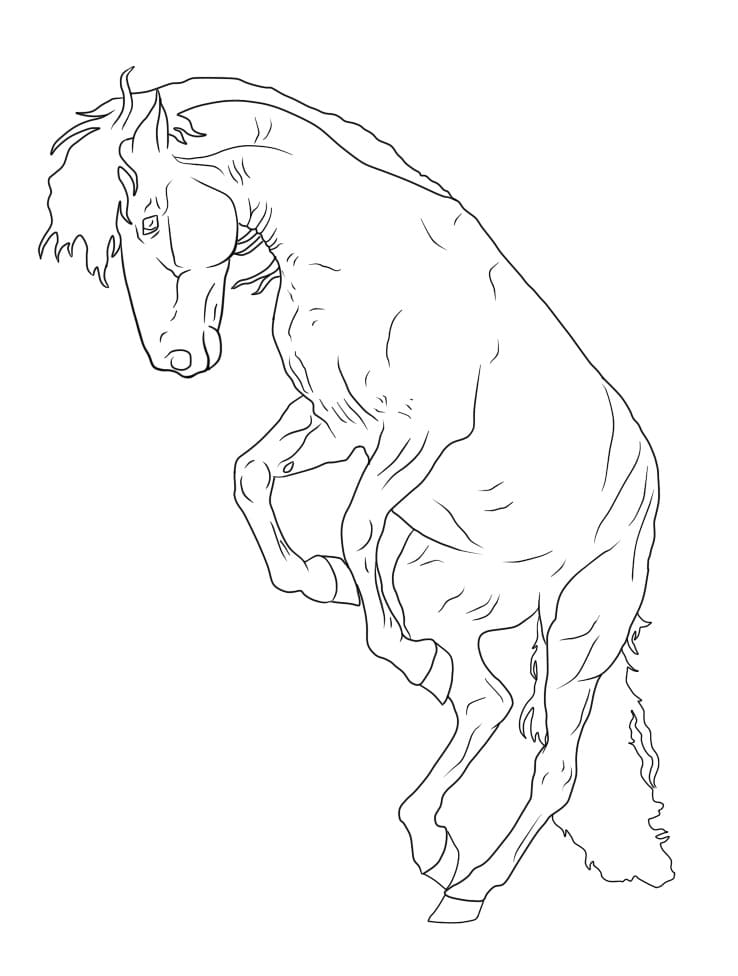 a horse coloring page free printable coloring pages for kids