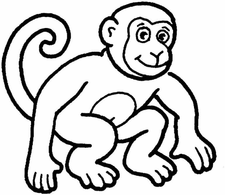 a-monkey-coloring-page-free-printable-coloring-pages-for-kids