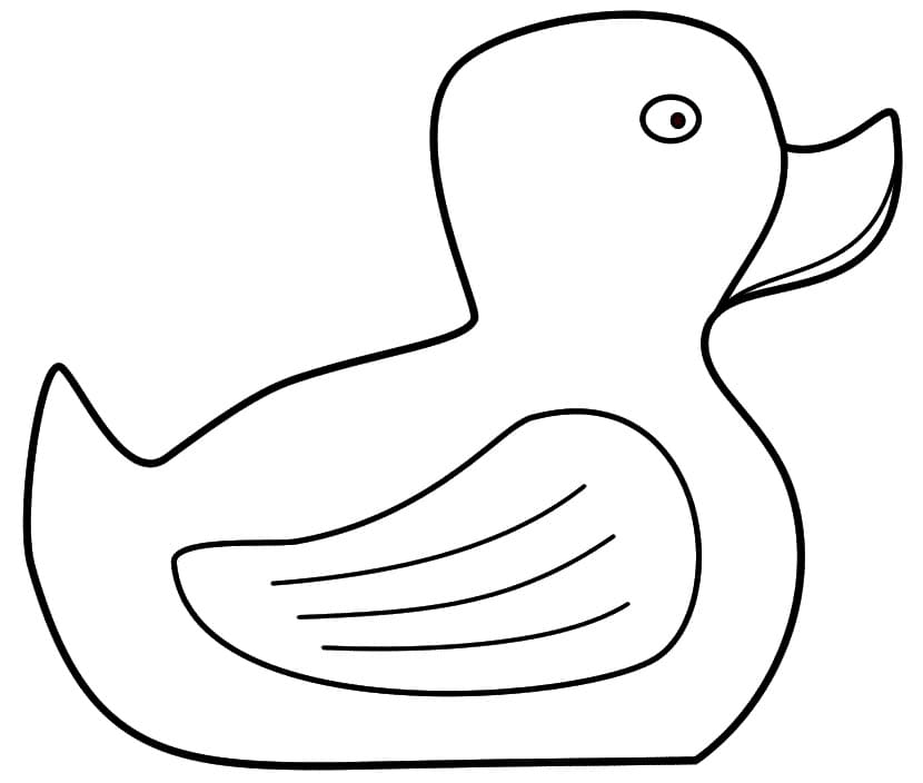 A Rubber Duck