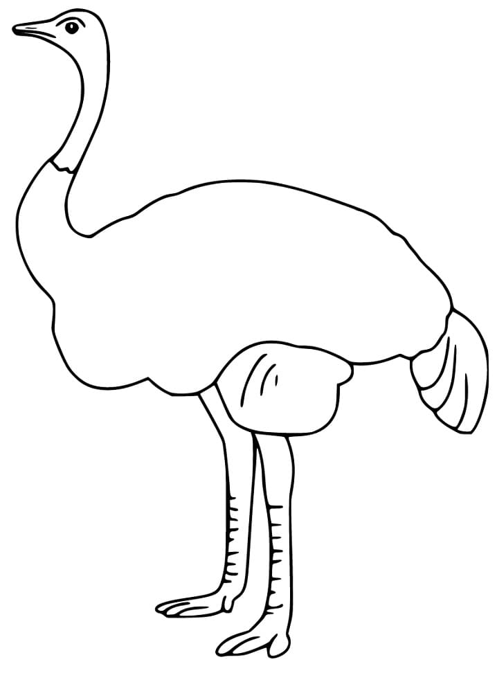 A Simple Emu