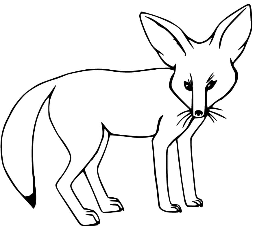 Babies Fennec Foxes Coloring Page - Free Printable Coloring Pages for Kids