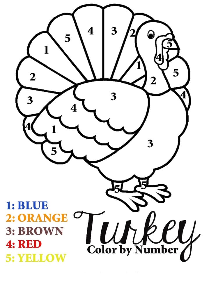 A Turkey Color by Number