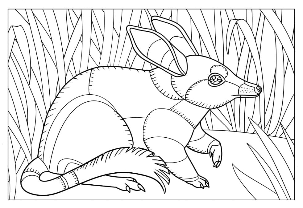 Abstract Bilby Coloring Page - Free Printable Coloring Pages for Kids