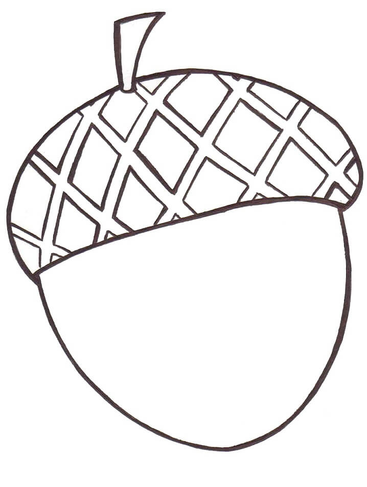 Acorn 1 Coloring Page - Free Printable Coloring Pages for Kids