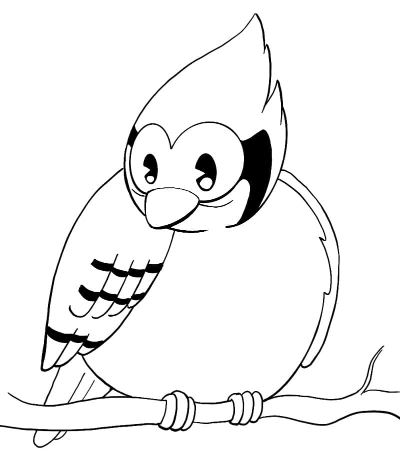 Easy Realistic Blue Jay Coloring Page - ColoringAll