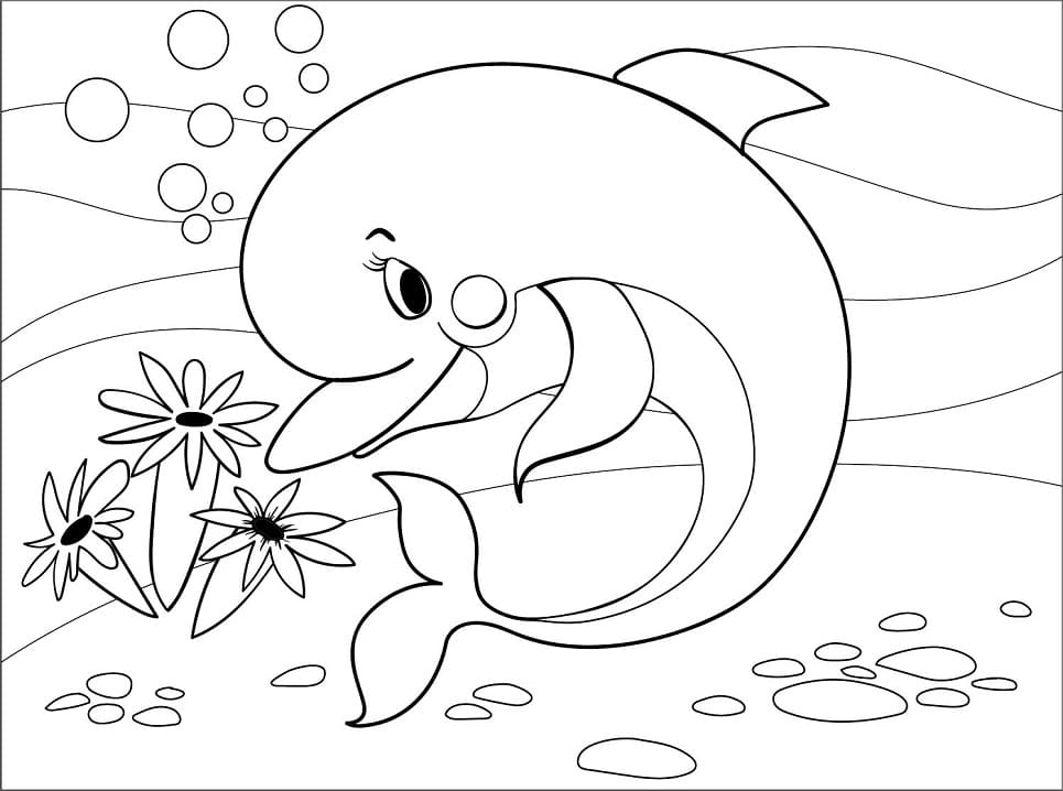  470 Cute Dolphin Coloring Pages Printable  Latest Free