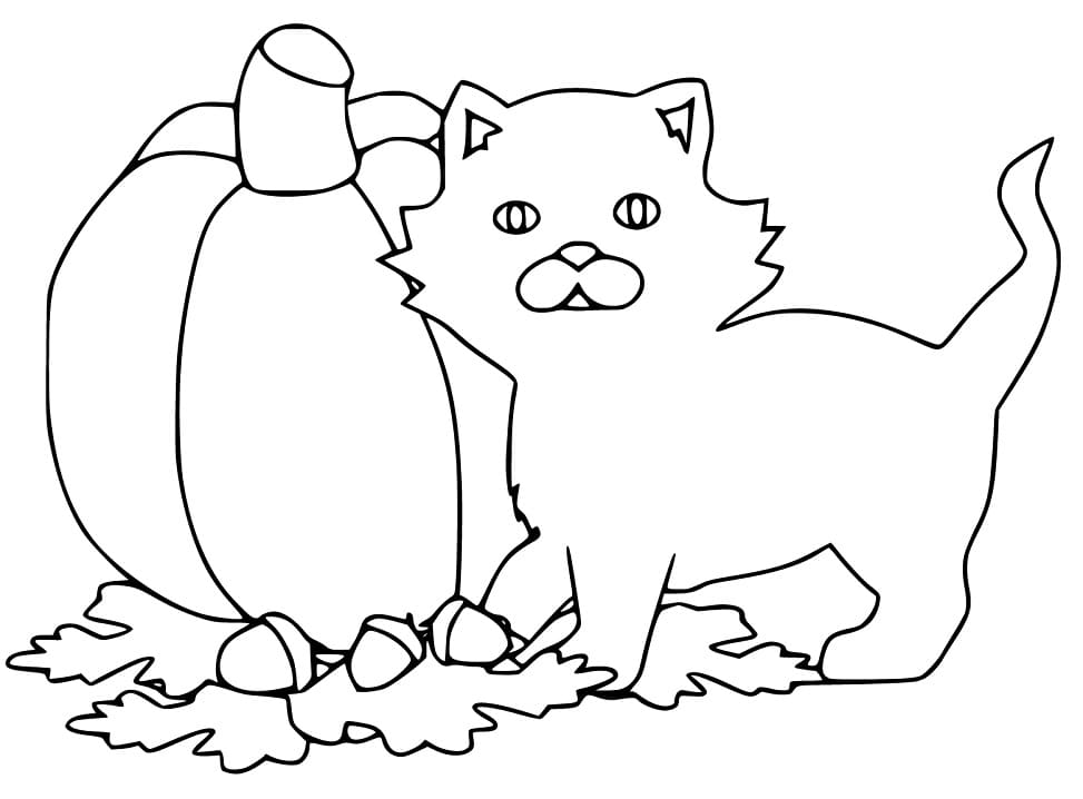 Adorable Hallween Cat