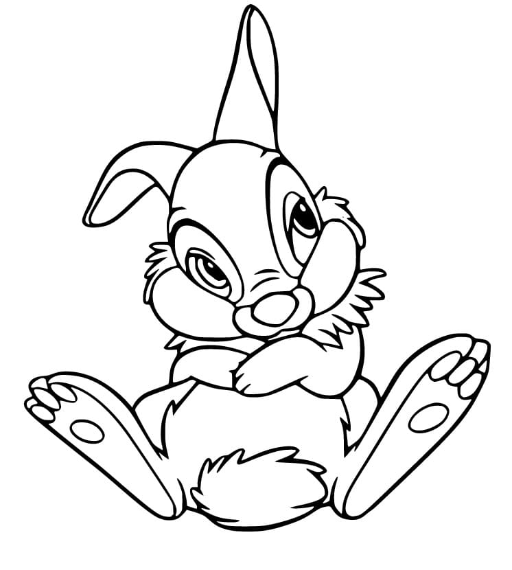 Adorable Thumper Rabbit