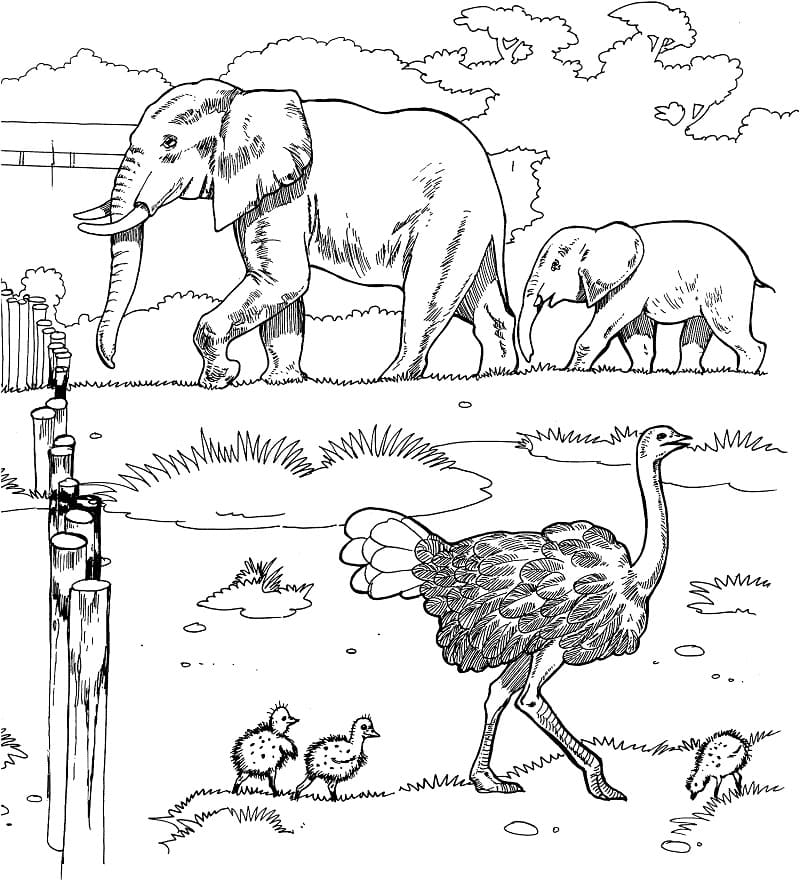 African Animals Coloring Page - Free Printable Coloring Pages for Kids