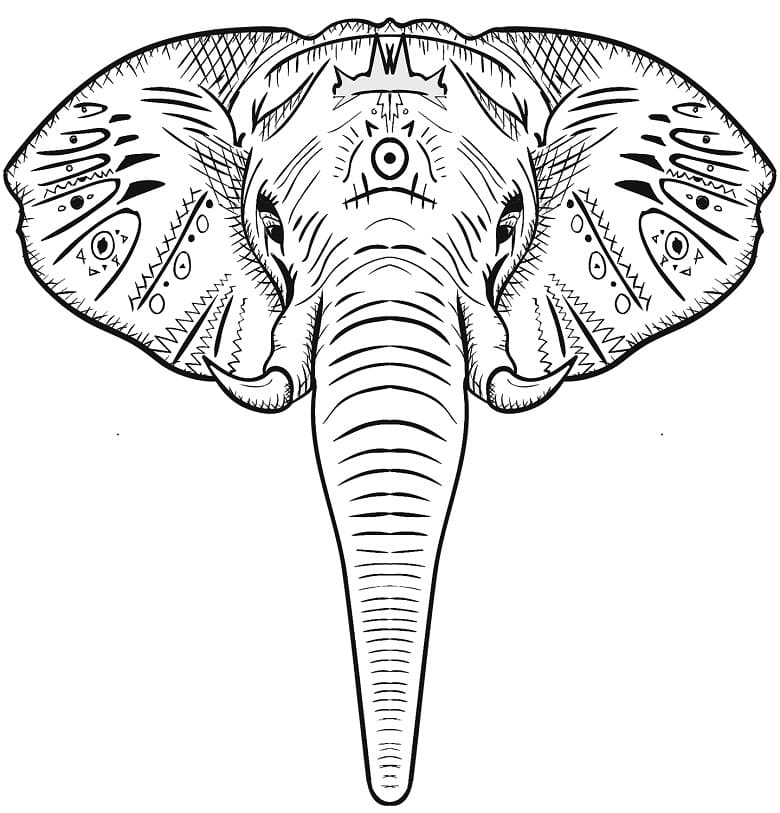 Amazing Elephant Head