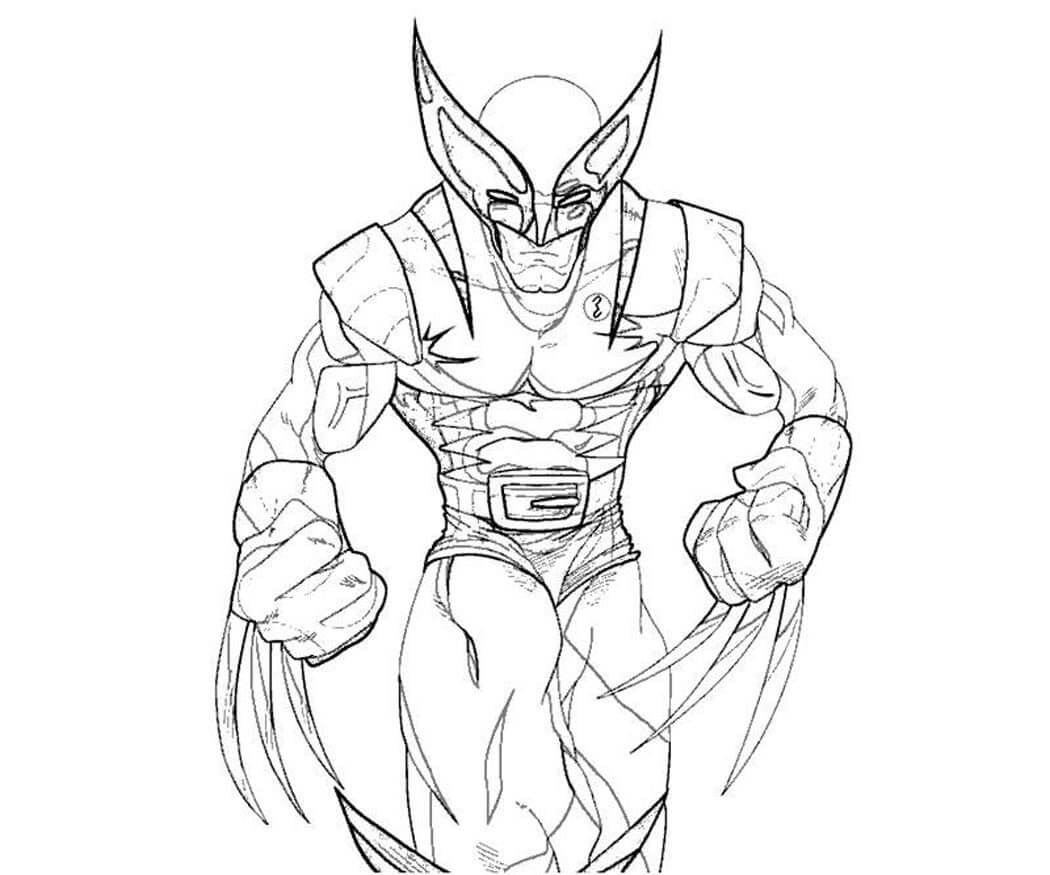 Amazing Wolverine Coloring Page   Free Printable Coloring Pages ...