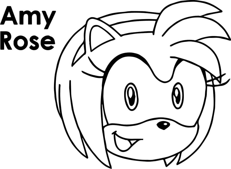 Amy Rose's Face