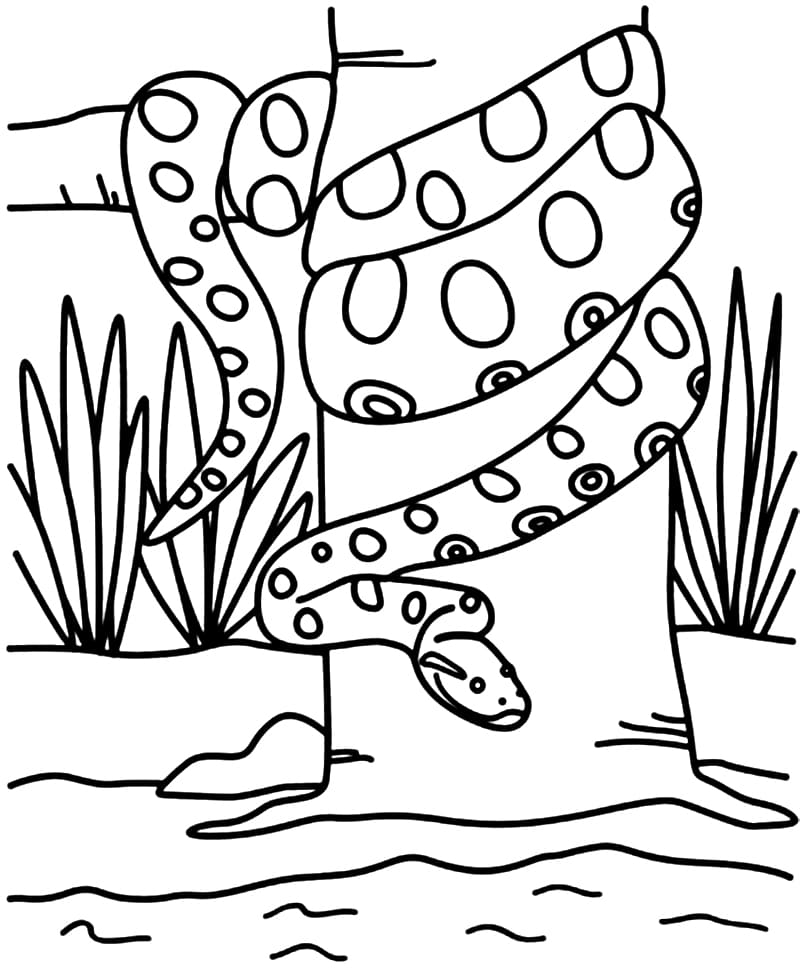 a-green-anaconda-coloring-page-free-printable-coloring-pages-for-kids