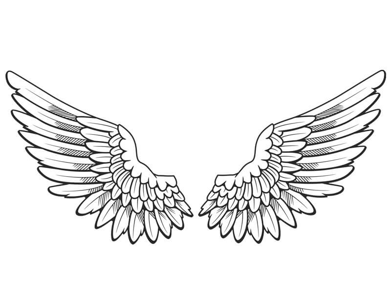 Angel Wings 3 Coloring Page Free Printable Coloring Pages For Kids