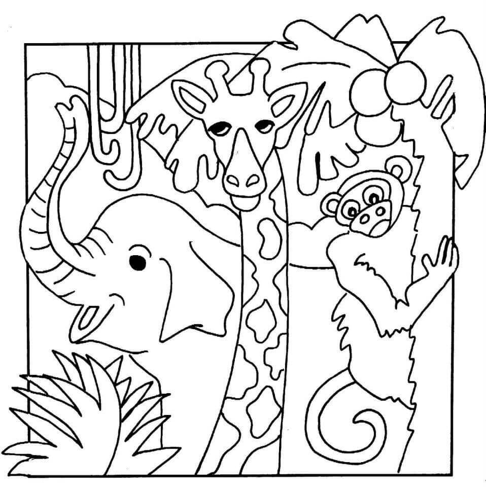 Jungle Coloring Pages - Free Printable Coloring Pages for Kids