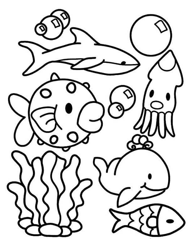 animals in the ocean coloring page free printable coloring pages for kids